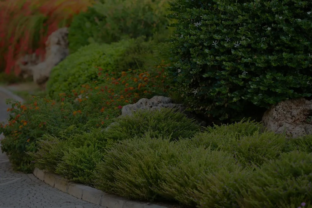 Local outdoor landscaping for year-round maintenance across Blue Island, IL - Chicago Professional Landscaping
