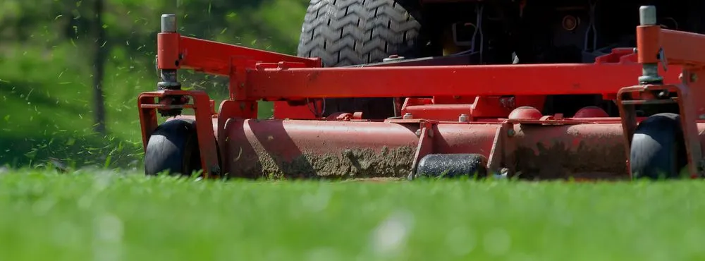 Affordable lawn care service experts serving Blue Island, IL - Chicago Professional Landscaping