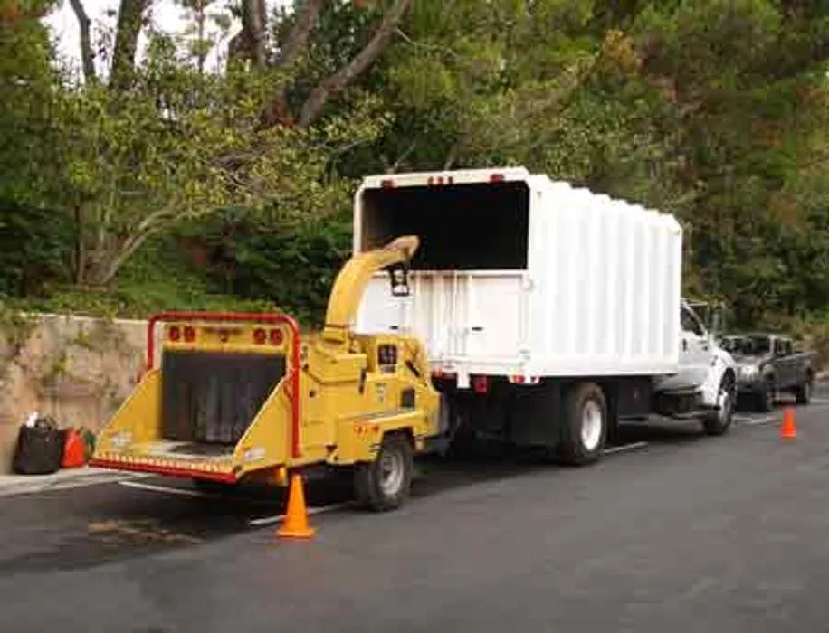 Top-rated yard maintenance in Chicago, IL - Chicago Service Source