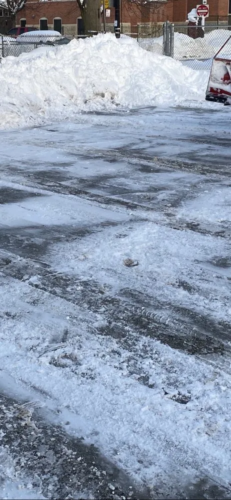 Top-rated yard maintenance experts serving Chicago, IL - Chicago Service Source