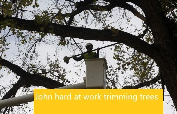 Expert landscape design in Chicago, IL - Chicago Service Source