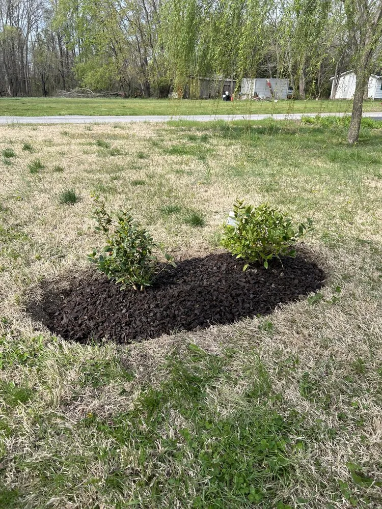 Expert outdoor landscaping with custom design in Plainfield, IL by Chicagoland Outdoor Services