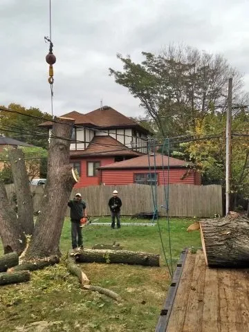 Reliable yard maintenance near you across Plainfield, IL - Chicagoland Outdoor Services