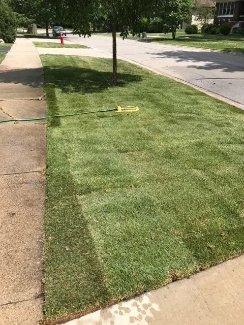 Top-rated lawn mowing service in Plainfield, IL by Chicagoland Outdoor Services