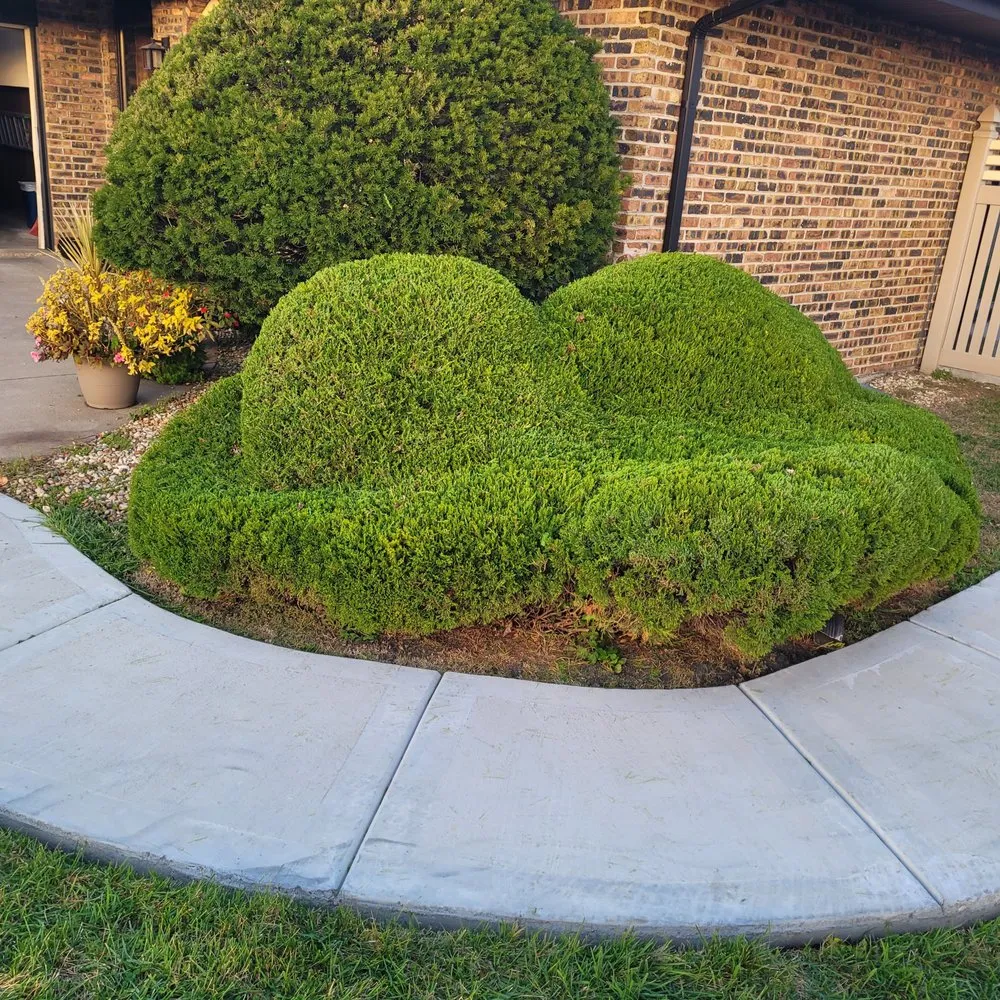 Custom lawn mowing service in Chicago, IL by Chicagotreepros