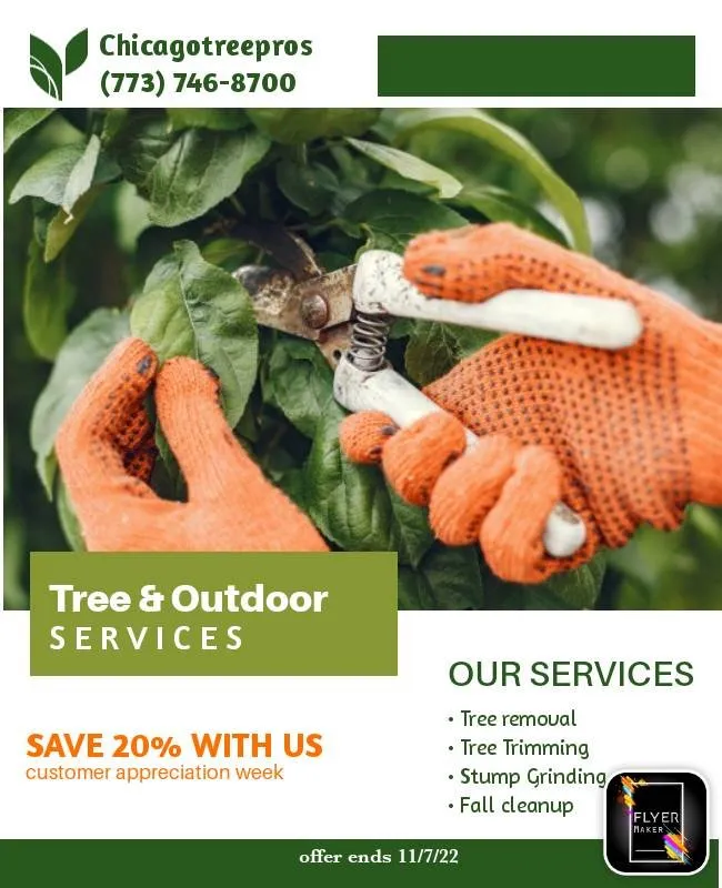 Trusted lawn care service in Chicago, IL - Chicagotreepros