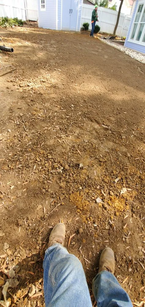 Local yard cleanup service with custom design across Hyattsville, MD - Chicas Enterprise