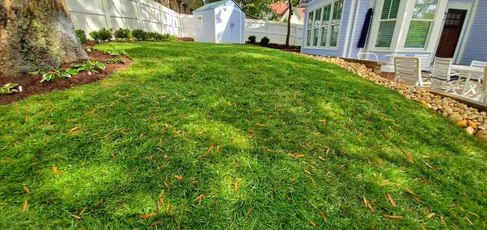 Custom lawn mowing service for outdoor upgrades in Hyattsville, MD by Chicas Enterprise