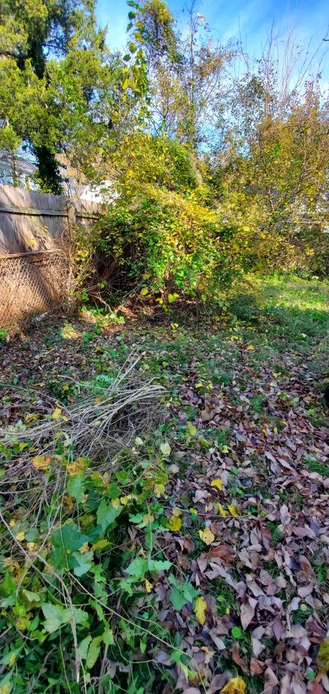 Trusted outdoor landscaping experts serving Hyattsville, MD - Chicas Enterprise