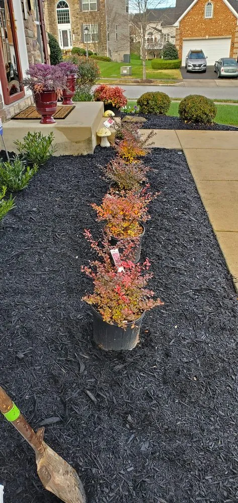 Trusted lawn mowing service for outdoor upgrades in Hyattsville, MD by Chicas Enterprise