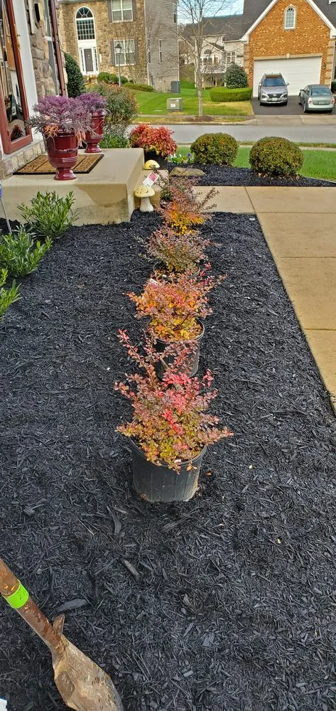 Local landscape design for homes in Hyattsville, MD by Chicas Enterprise