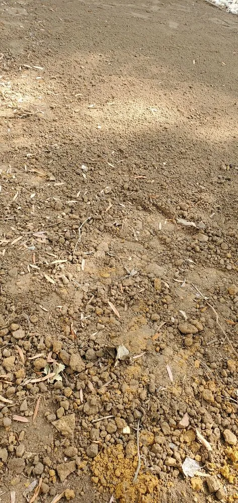 Top-rated outdoor landscaping experts serving Hyattsville, MD - Chicas Enterprise