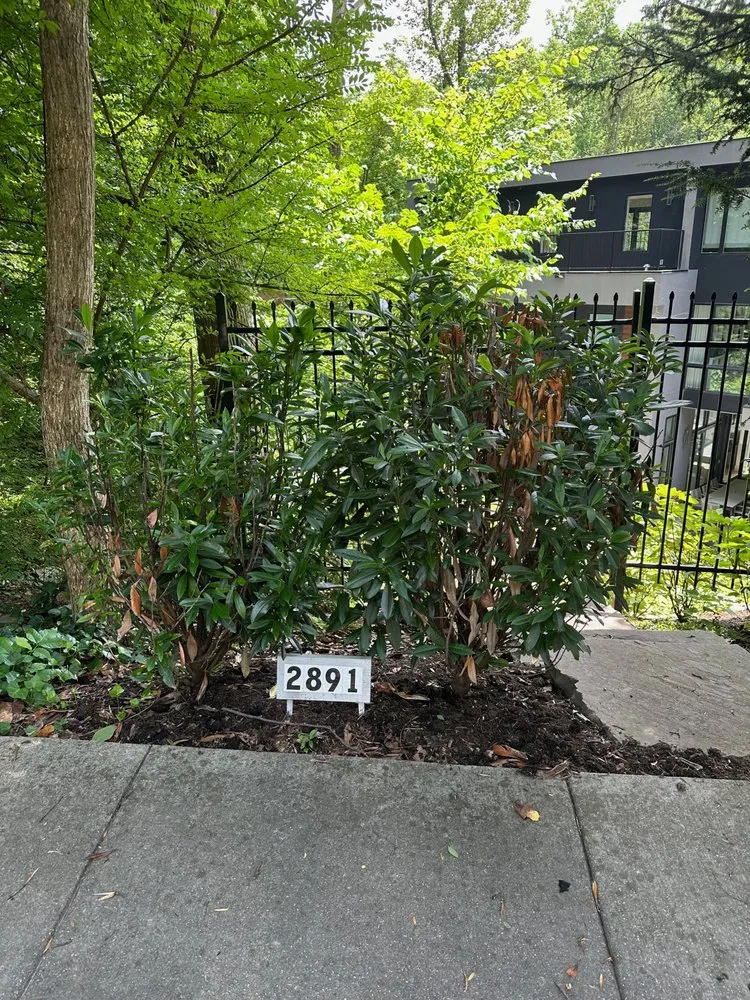 Affordable landscaping services experts serving Burtonsville, MD - Chick Landscaping