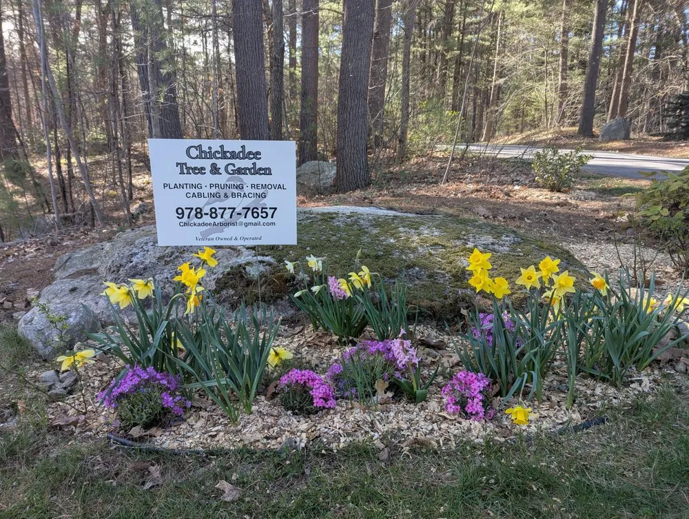 Custom lawn mowing service in Erving, MA - Chickadee Tree & Garden