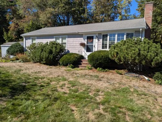 Chickadee Tree & Garden