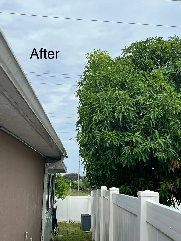 Custom outdoor landscaping in Winter Haven, FL by Chicken & Rice Lawn Service