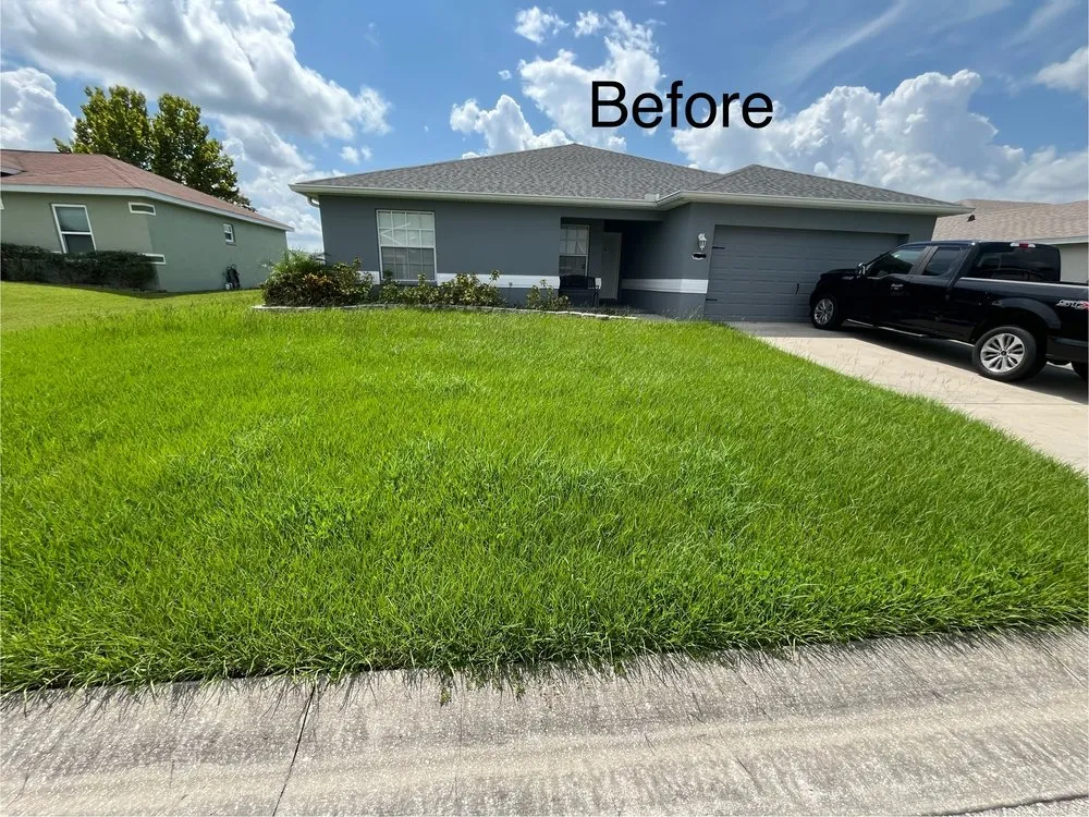 Reliable landscape installation in Winter Haven, FL - Chicken & Rice Lawn Service