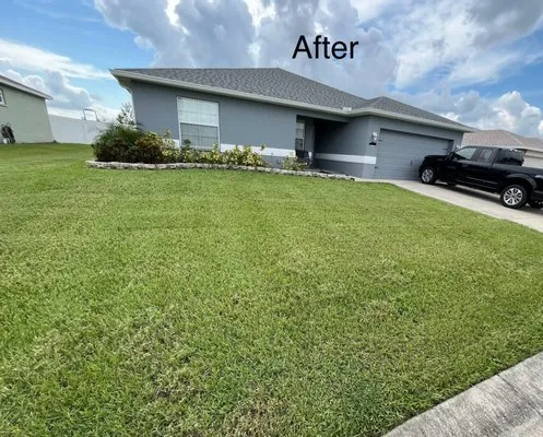 Chicken & Rice Lawn Service