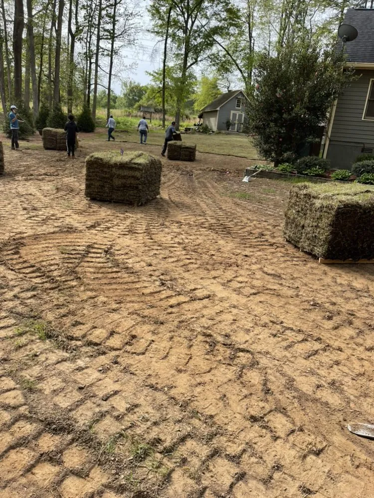 Local yard cleanup service in Athens, GA by Chico landscaping