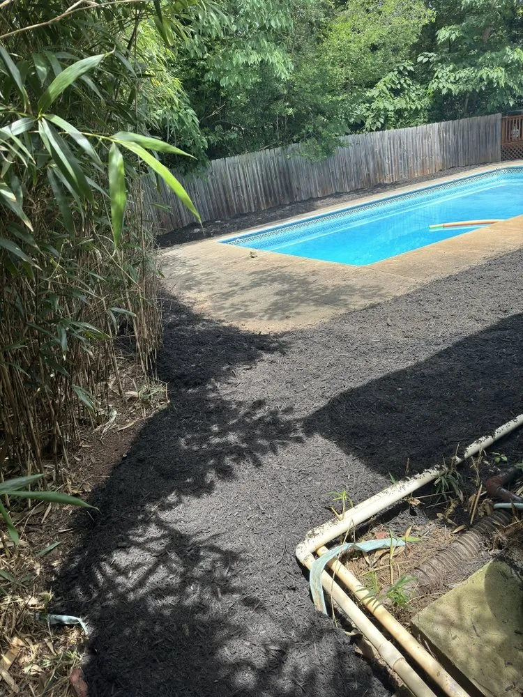 Local outdoor landscaping experts serving Athens, GA - Chico landscaping