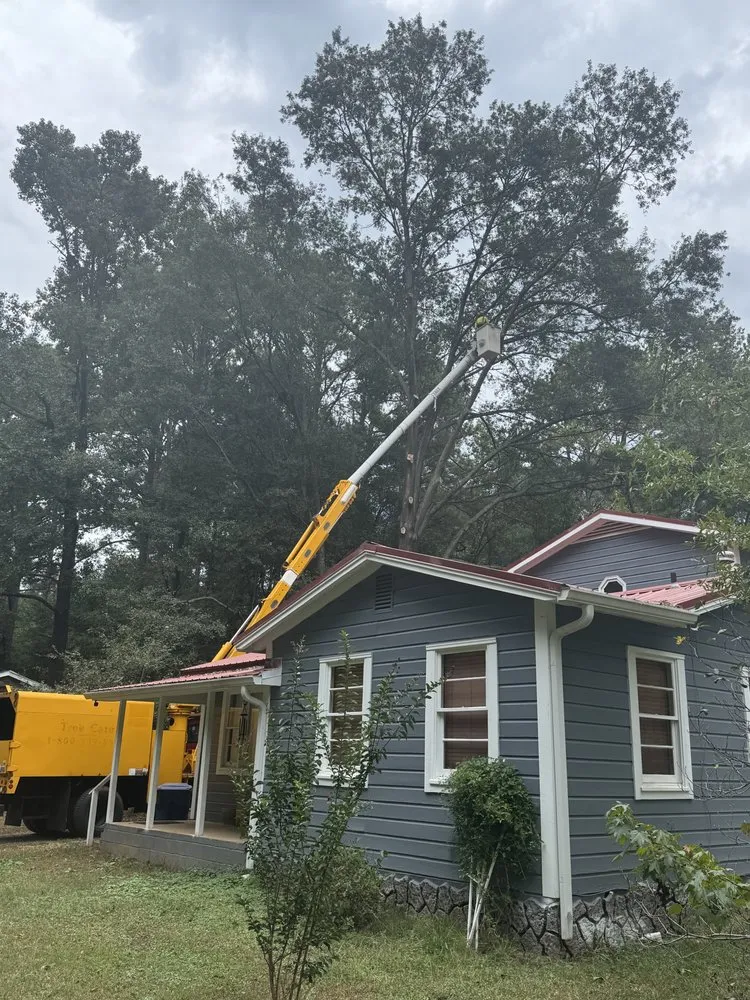 Reliable garden landscaping in Athens, GA by Chico landscaping