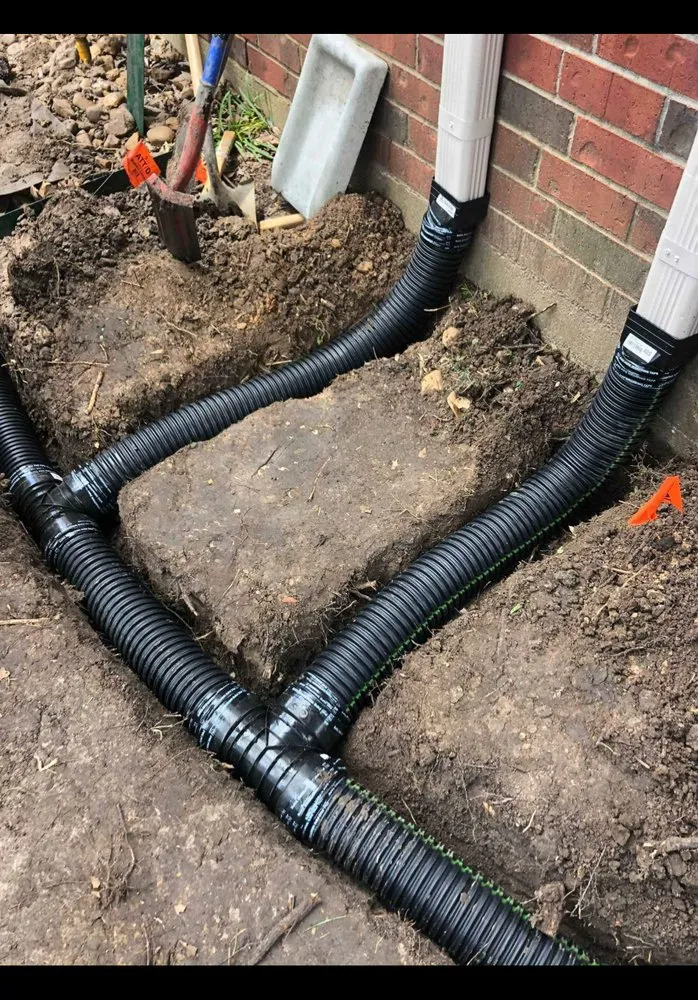 Professional landscape design in Athens, GA - Chico landscaping