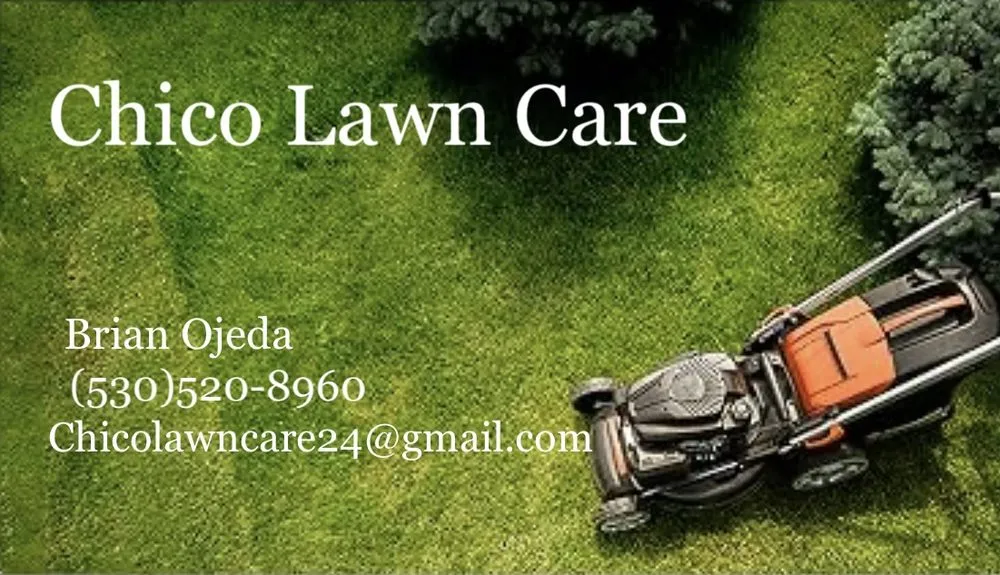 Custom lawn care service in Chico, CA - Chico Lawn Care