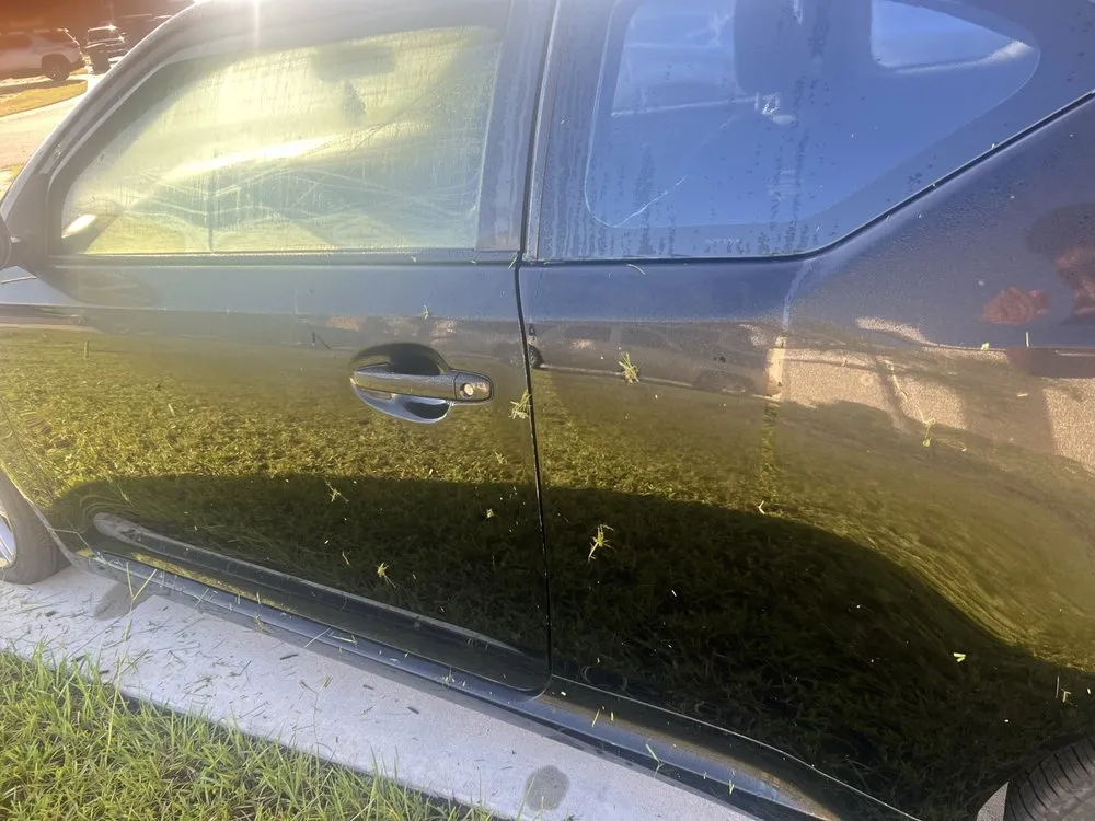 Top-rated landscaping services in Orlando, FL - Chico Quality Lawn Service