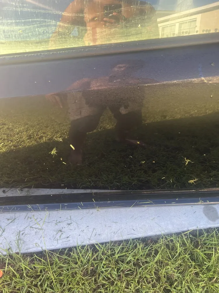 Custom outdoor landscaping near you across Orlando, FL - Chico Quality Lawn Service