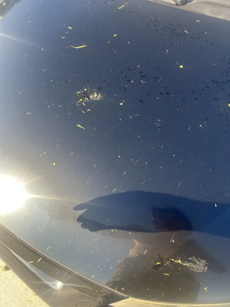 Top-rated garden landscaping in Orlando, FL by Chico Quality Lawn Service