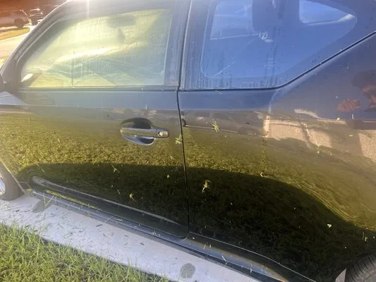 Chico Quality Lawn Service Logo