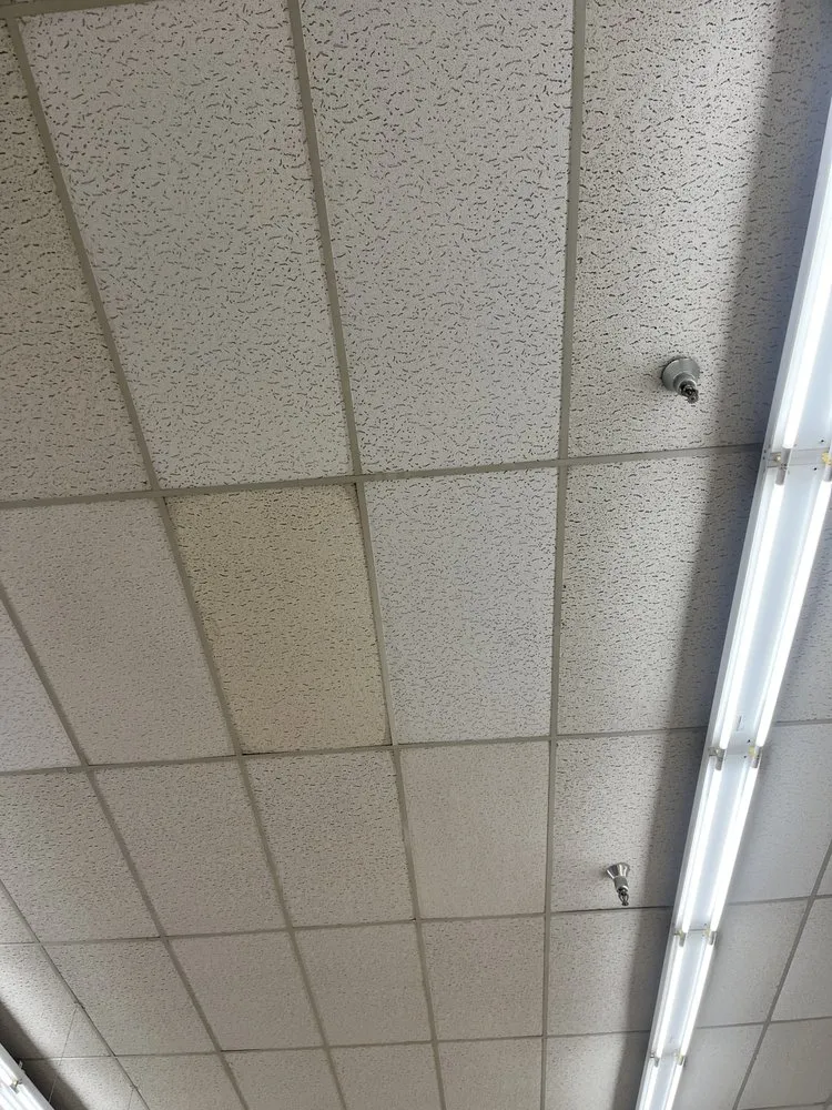 Trusted landscaping services experts serving Bakersfield, CA - Chicos Handyman Service