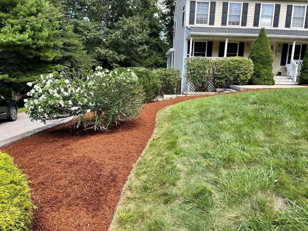 Local yard maintenance for year-round maintenance across Lawrence, MA - Chico's Landscaping