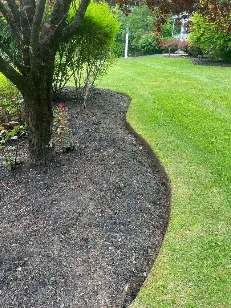 Custom yard cleanup service in Lawrence, MA by Chico's Landscaping