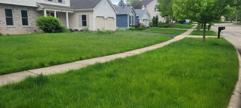 Professional lawn care service in Marengo, IL by Chico's Landscaping