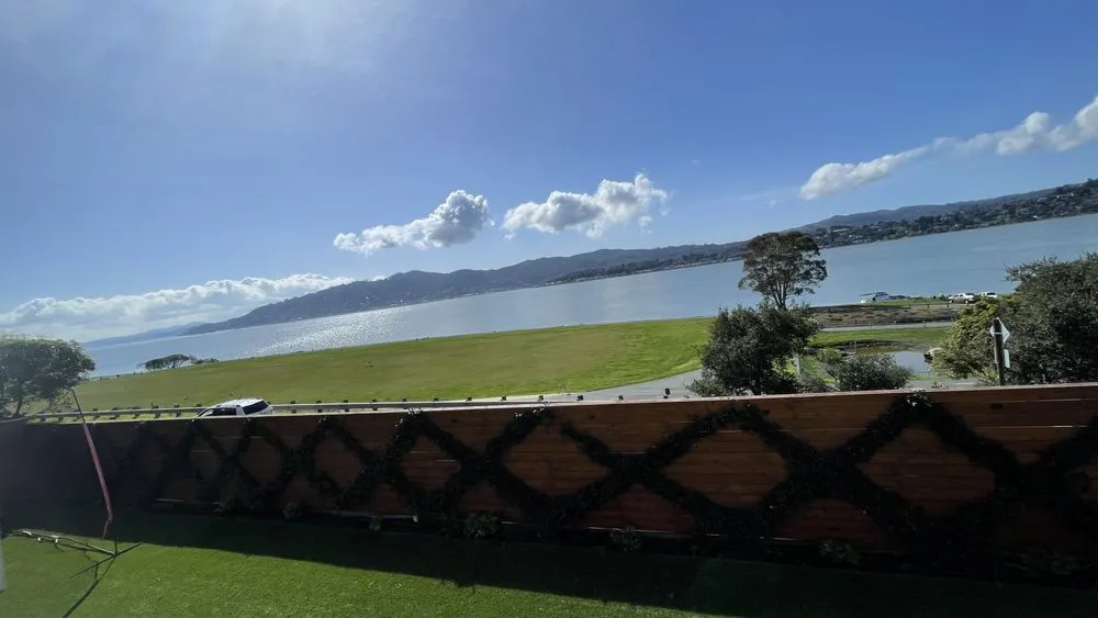 Trusted yard cleanup service for outdoor upgrades across San Francisco, CA - Chico's Landscaping