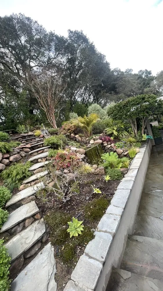 Trusted outdoor landscaping near you in San Francisco, CA by Chico's Landscaping