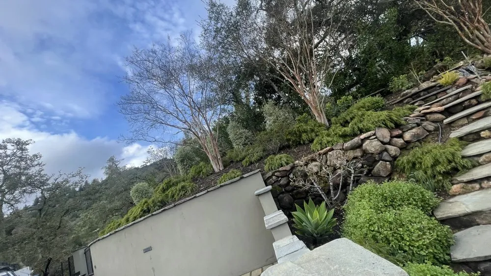 Local lawn care service with custom design in San Francisco, CA by Chico's Landscaping