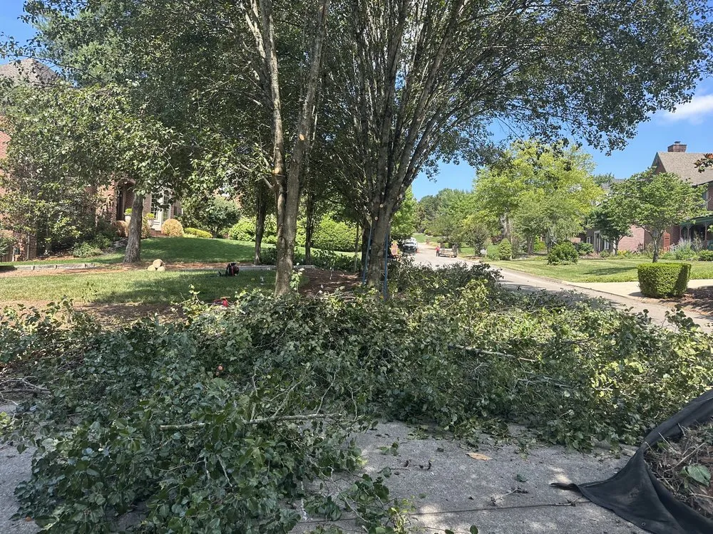 Custom landscape installation in Knoxville, TN - Chico’s Quality Landscaping