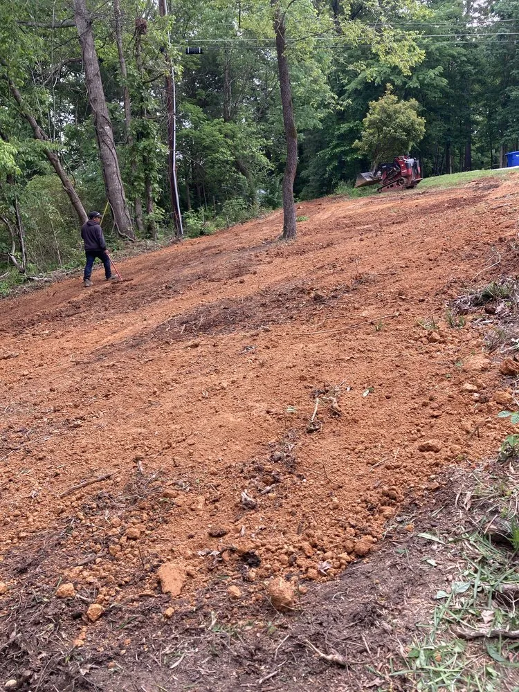 Professional lawn care service for year-round maintenance in Knoxville, TN by Chico’s Quality Landscaping