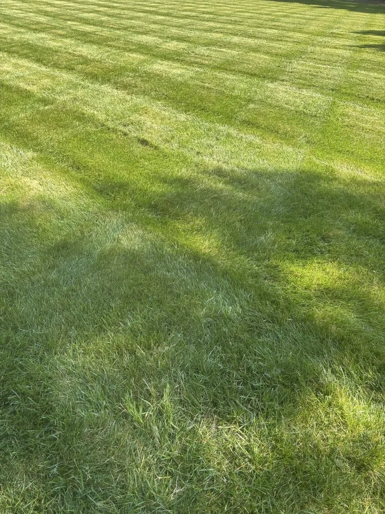 Custom yard cleanup service experts serving Randleman, NC - Chief Cuts Landscaping