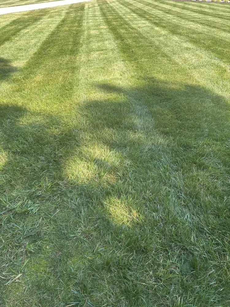 Top-rated residential landscaping for homes in Randleman, NC by Chief Cuts Landscaping