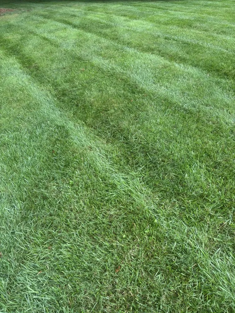 Professional lawn mowing service in Randleman, NC - Chief Cuts Landscaping