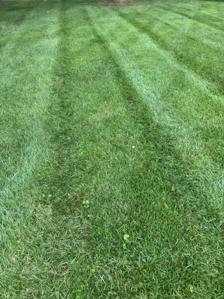 Top-rated residential landscaping with custom design in Randleman, NC by Chief Cuts Landscaping