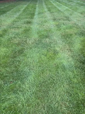 Chief Cuts Landscaping