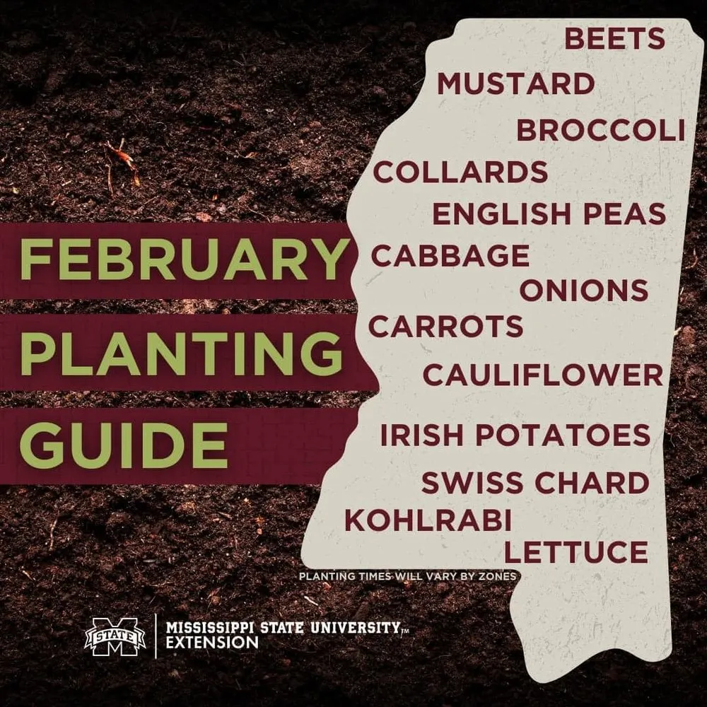 Trusted landscaping services in Harvest, AL - Chief Excavation and Landscaping