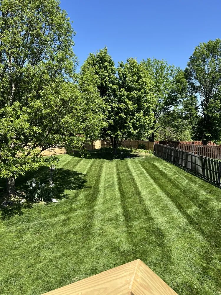 Reliable lawn care service in Lee's Summit, MO by Chief Lawn Care