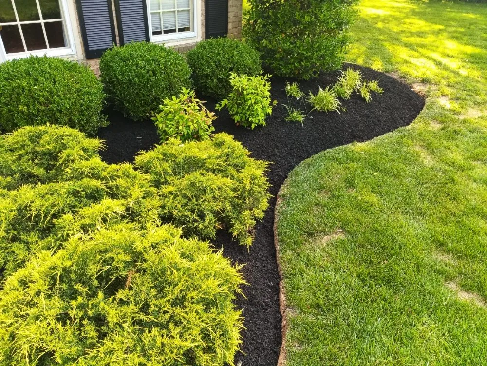 Affordable landscape design in Frederick, MD by Chief Lawns