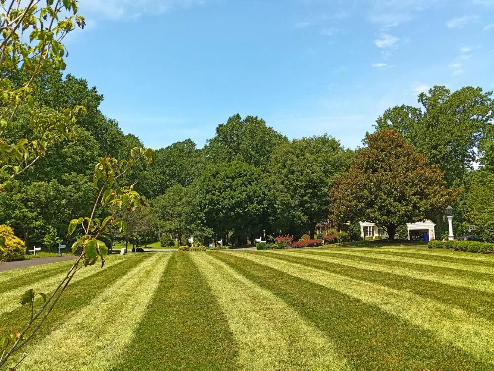 Reliable outdoor landscaping experts serving Frederick, MD - Chief Lawns