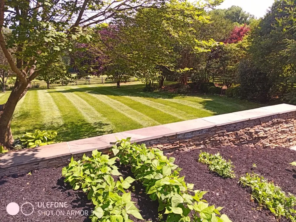 Trusted garden landscaping for residential properties across Frederick, MD - Chief Lawns